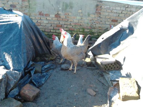 2016-02-14_09.48.31.jpg 2016-02-14_09.48.31.jpg