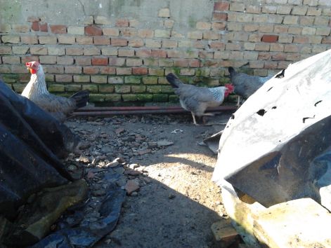 2016-02-14_09.49.12.jpg 2016-02-14_09.49.12.jpg