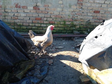 2016-02-14_09.49.20.jpg 2016-02-14_09.49.20.jpg