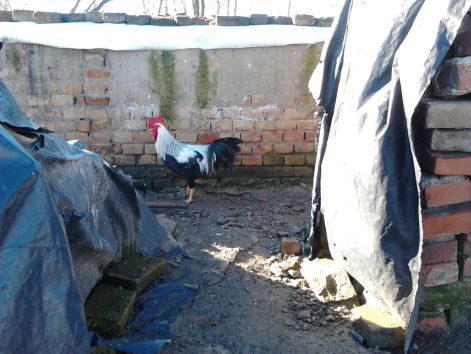 2016-02-14_09.50.42.jpg 2016-02-14_09.50.42.jpg